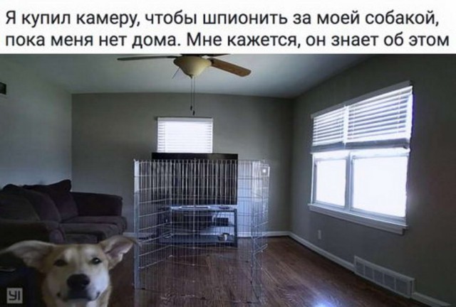 Древние мемы с ВК. Для тех кто забыл #8