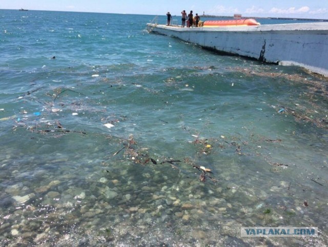 Ну, кто ещё отдохнуть на родине планирует?