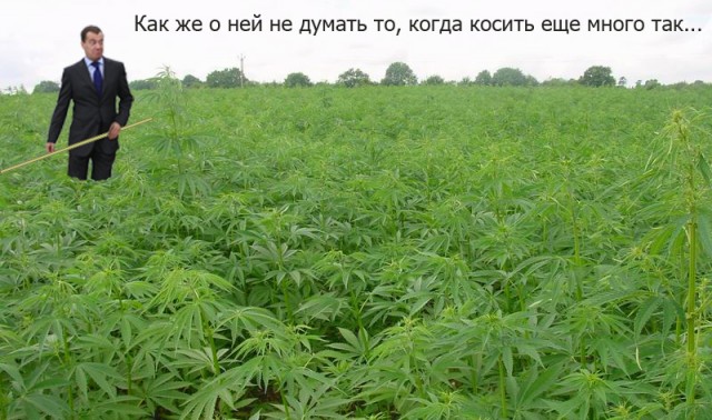 Фотожаба: Кто все эти люди?!
