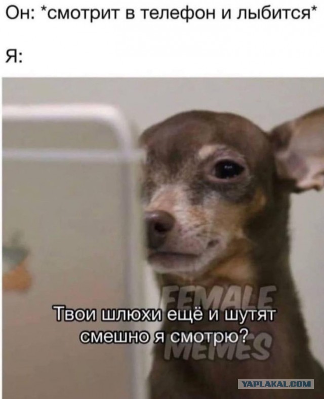 Это катастрофа