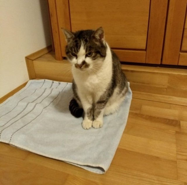 Необыкновенные штуки, которые жизнь подкидывает нам