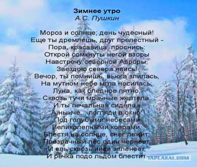 О том какой снег бывает за МКАДом