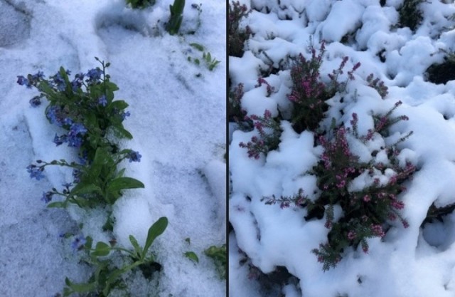 Признания мужчин, простивших жёнам измену (случаи из практики)