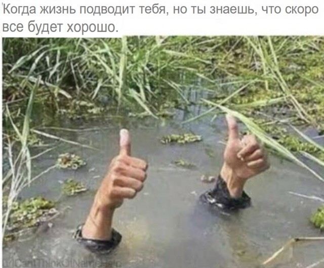 Весёлый полтишок 16.03