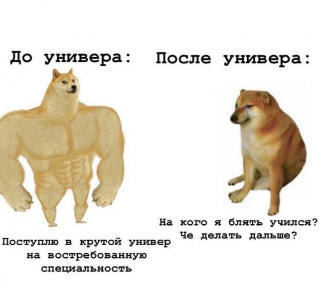 Картинки и мемы для настроения 018