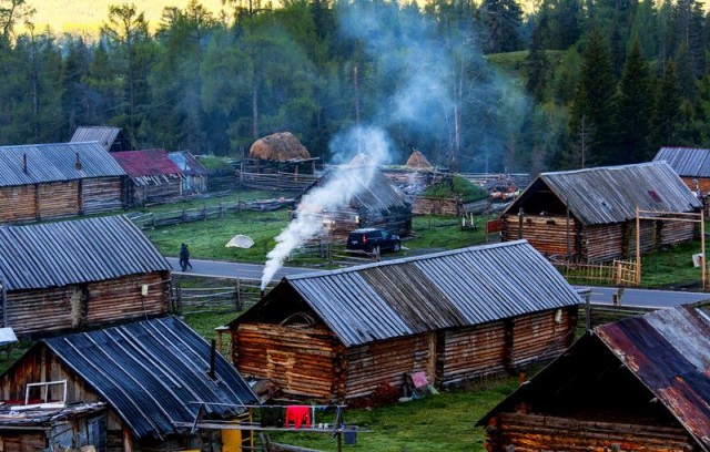 Дома на опушке леса
