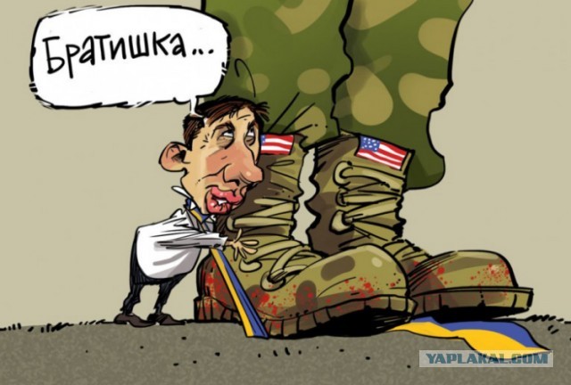 Президенты Украины, Польши, Латвии, Литвы и Эстонии подписали декларацию о сотрудничестве и демократических устремлениях