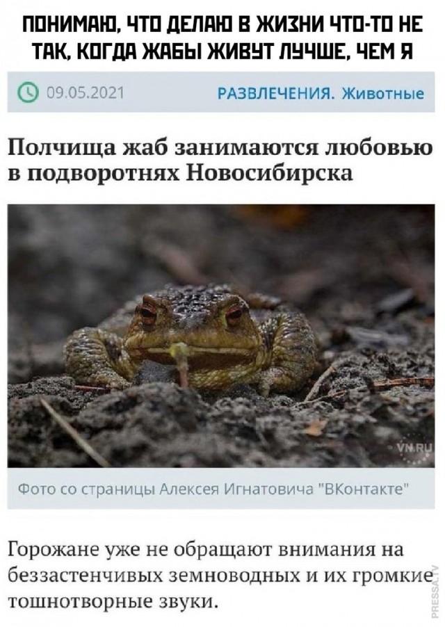 Картинки и мемы для настроения 17.05.2021