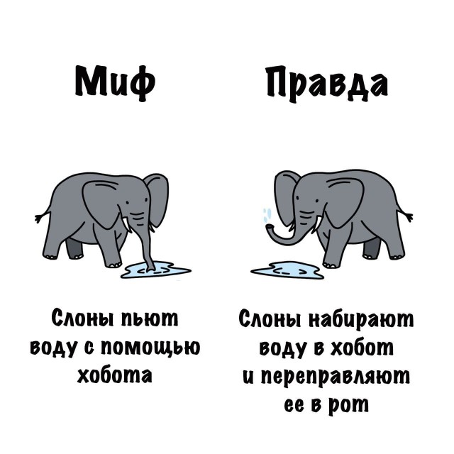 Картинки на субботу