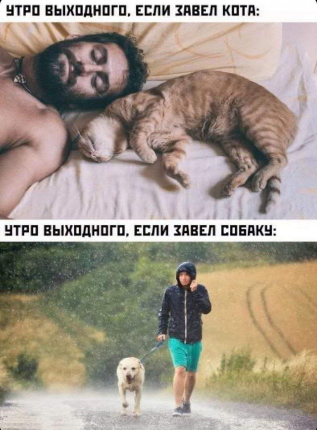 Стоша Говнозад