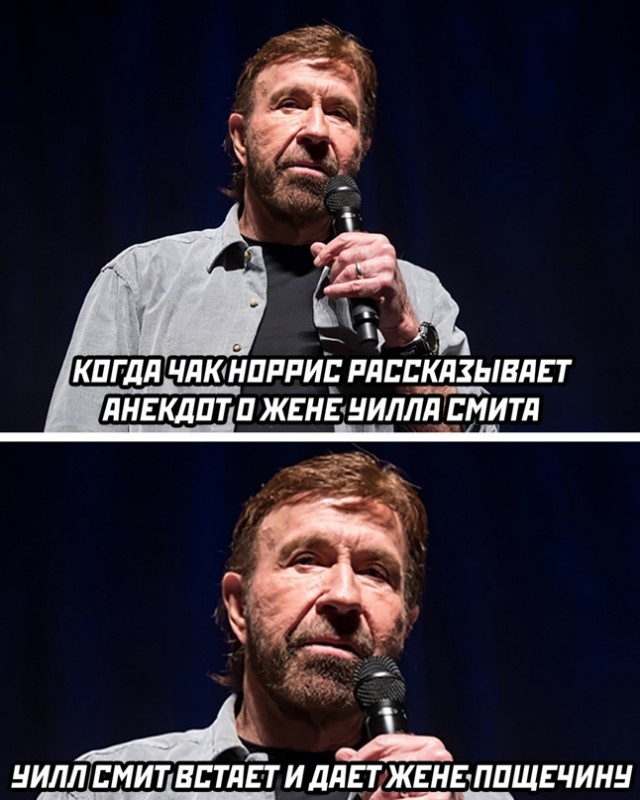 Весёлый полтишок 11.04.22