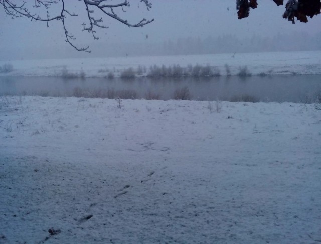 Вот это я понимаю - отдых на природе!