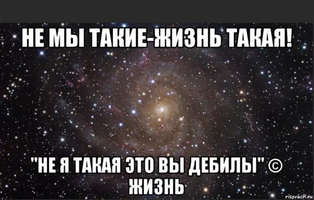 Здесь соглашусь
