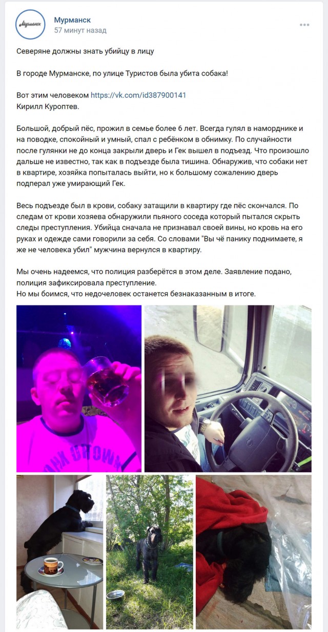 В Мурманске сосед убил собаку