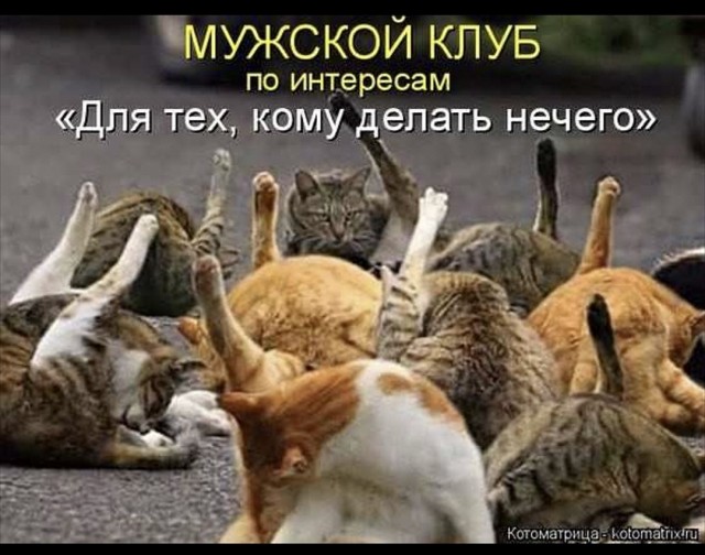 Измена Жены. Как с этим жить?!