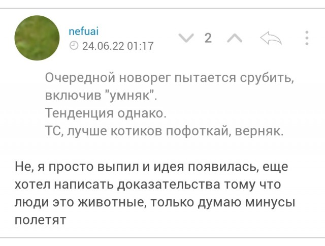Я тупая пи**ец