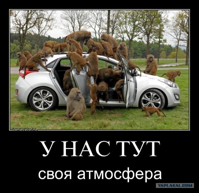 Wargaming