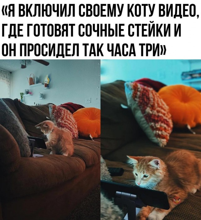 Чуток картинок 22.07.22