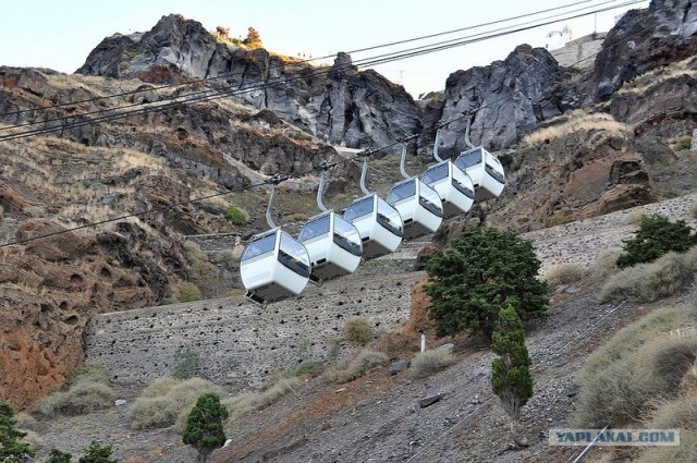 Любовь с первого взгляда