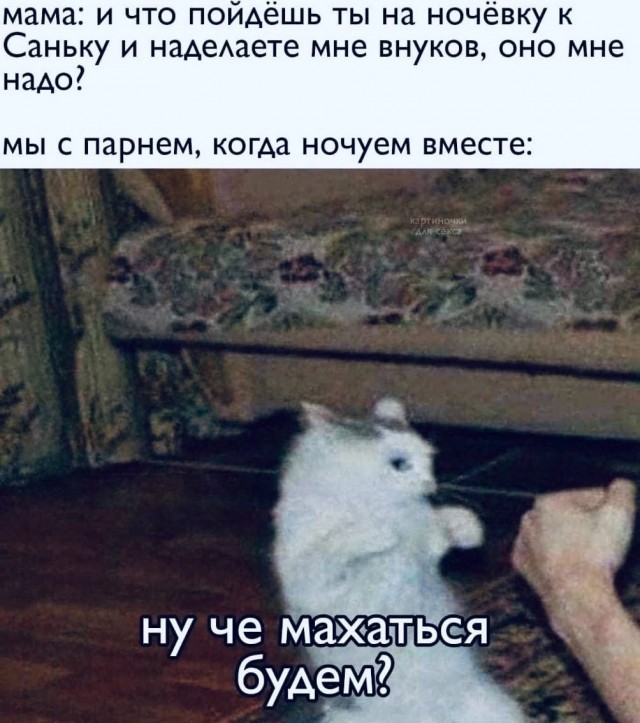 Немного мемчиков. Для взрослых. Часть 15