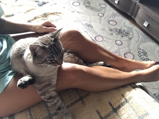 Кисковторник для взрослых