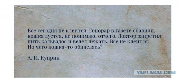 Мастер не любил Маргариту!