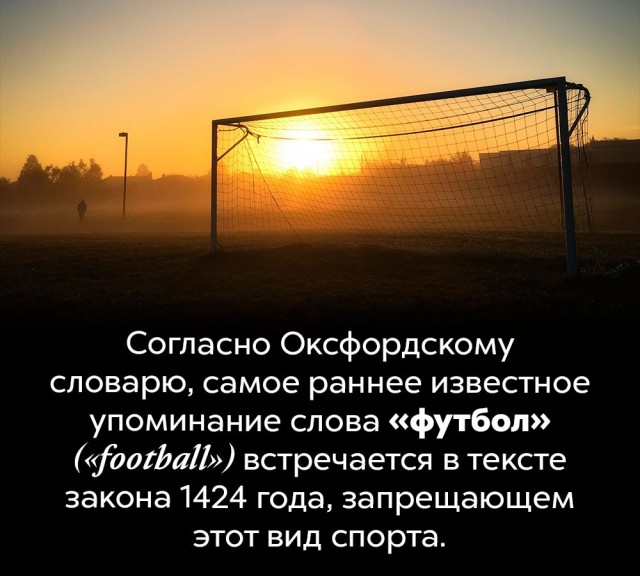 Немного бесполезных фактов