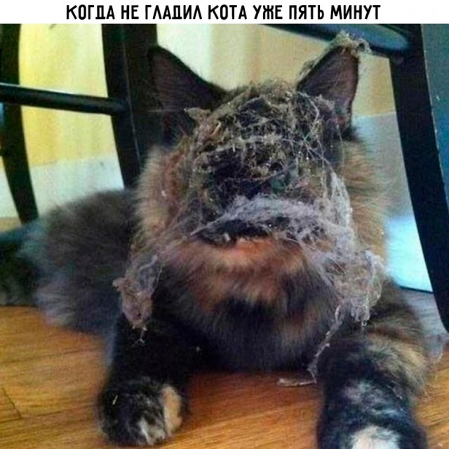 Картинки и мемы для настроения - 133