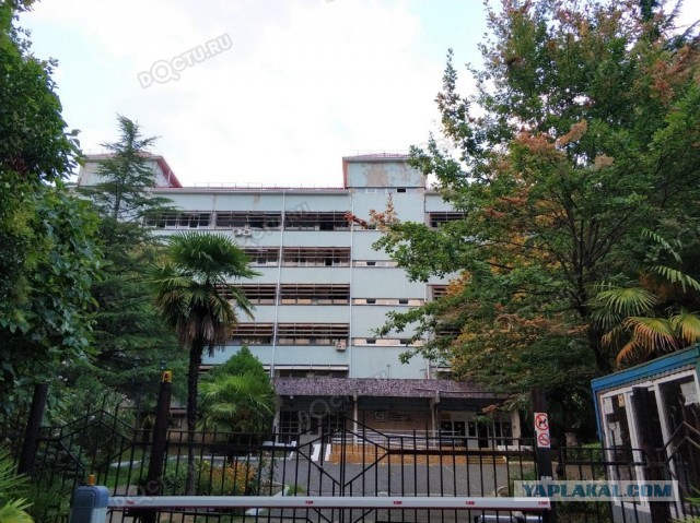 Культурный шок от КВД Сочи