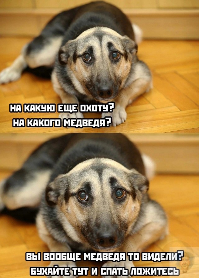 Картинки 09.12.2022