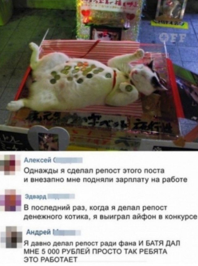 Скриншоты и комментарии из социальных сетей 10.12.22