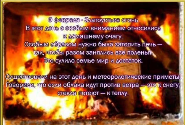 Победная поступь идиотизма по планете – том 8