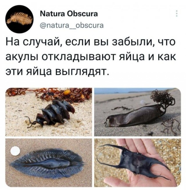 Картинки и мемы, всем хороших выходных