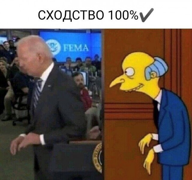 Сходство 100%
