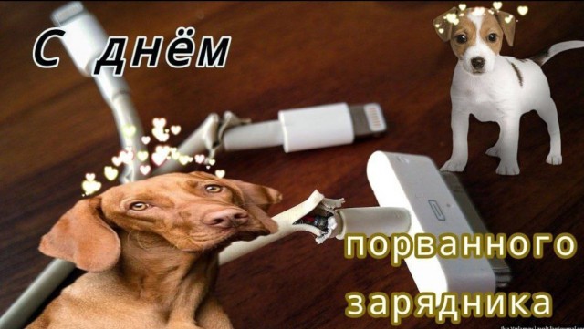 Всего понемногу. От 26.07.23