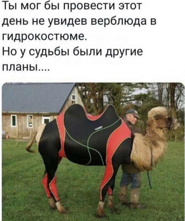 Всего понемногу. От 24.08.2023