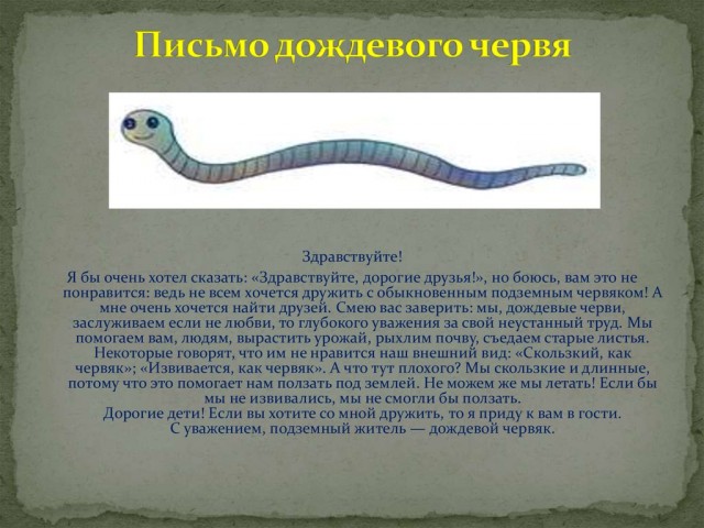 Ван Дамм в 62 года
