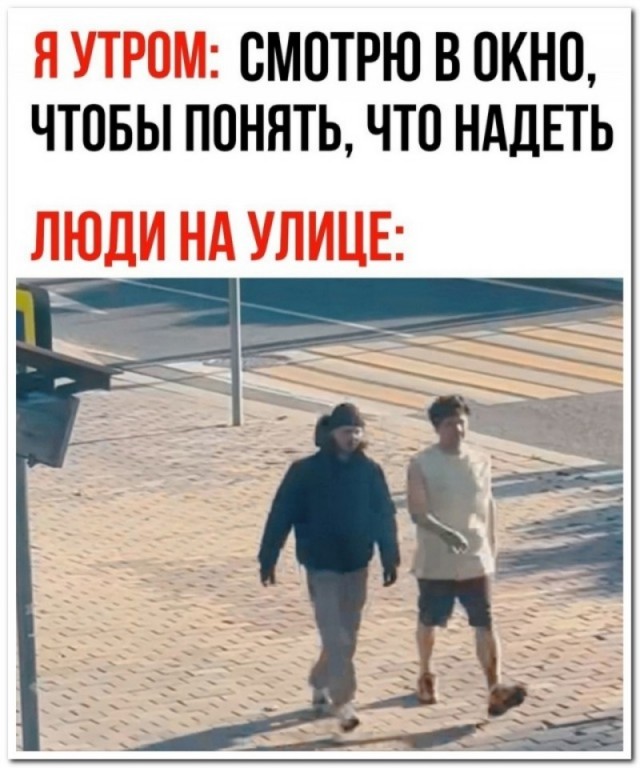 Забавные комментарии из социальных сетей (02.10.23)