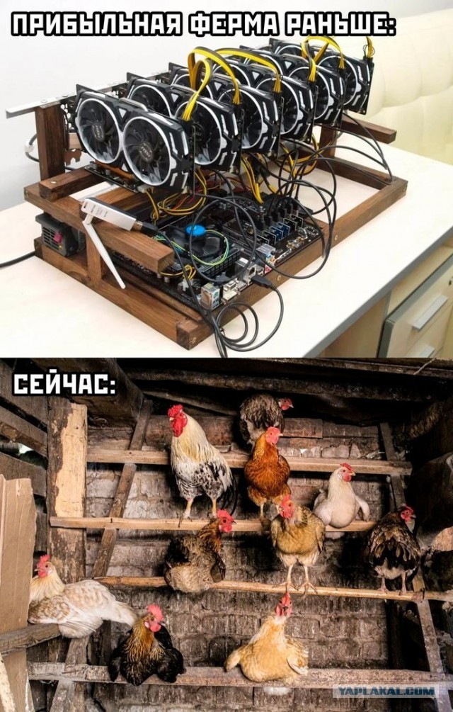 Не много весёлых картинок