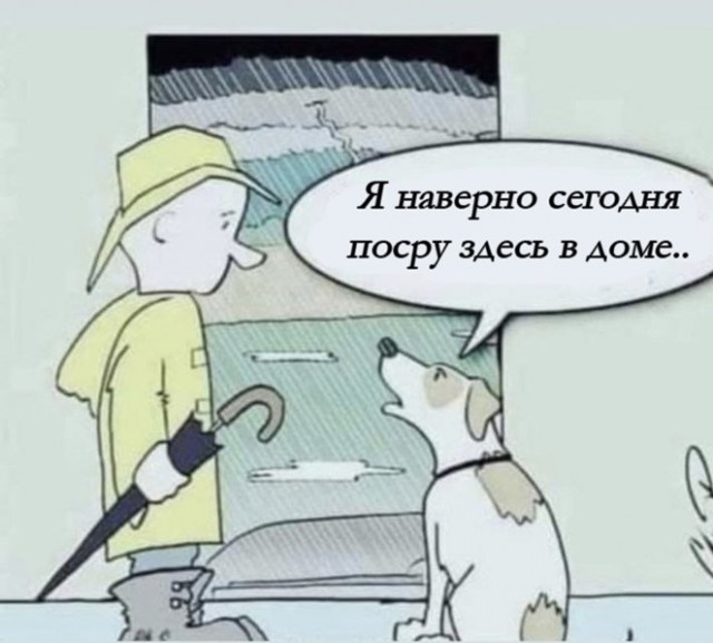 Прогулка с собакой, когда вы живёте на Сахалине