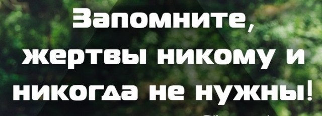 Жертва домашнего Василия