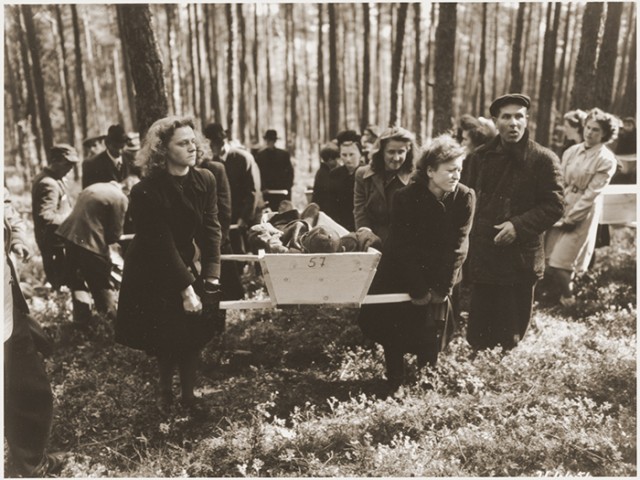 Уроки денацификации