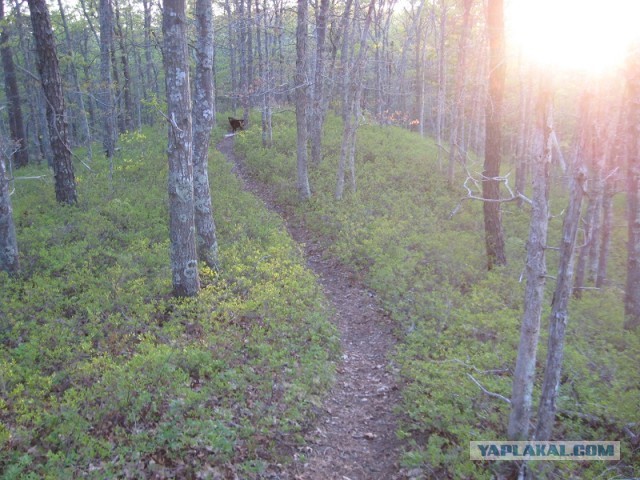 Деревенская Америка