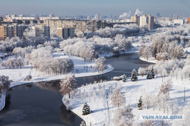 Белорусы, вы вообще уху ели? (Сарказм)⁠⁠