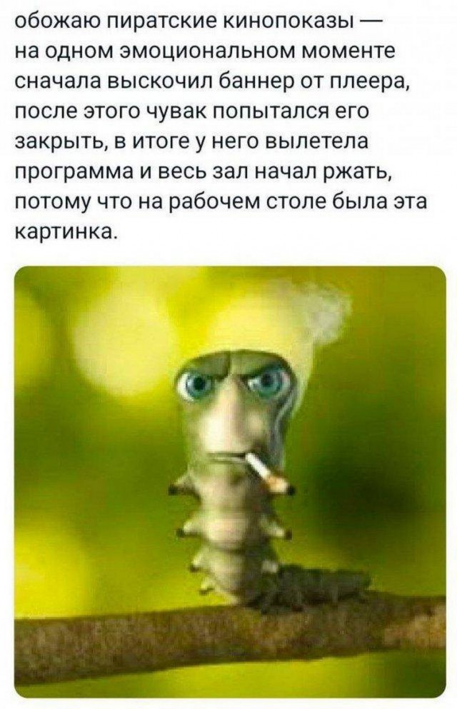 Нуштош 08.08.2024