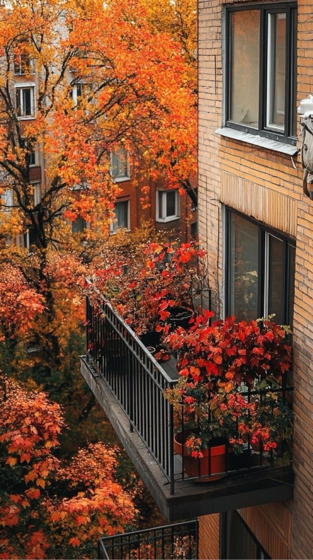Прикольные и просто красивые картинки 15.10.2024