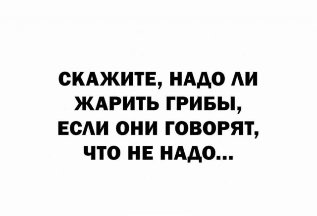 Россия стала поставлять тонны мухоморов Америке