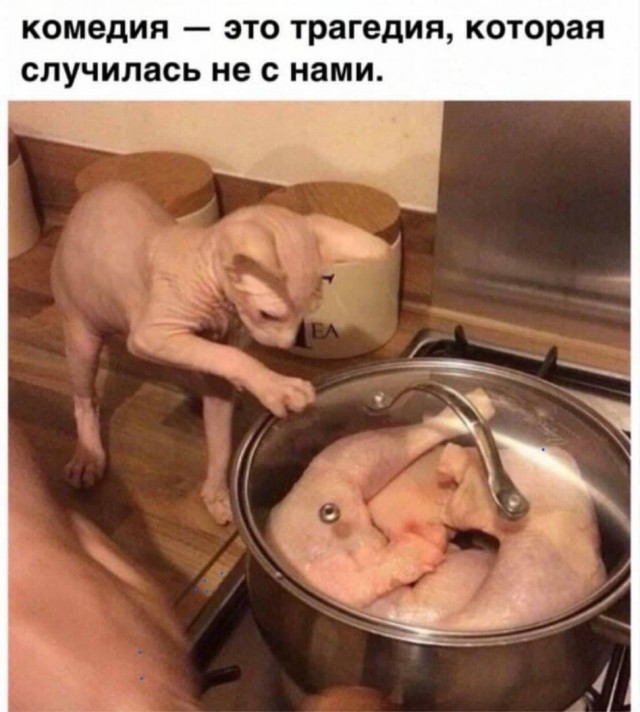 Завалялось тут случайно немного забавных картинок