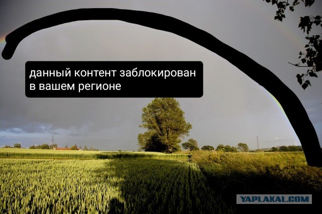 Как квадроберы стали главной проблемой в стране⁠⁠