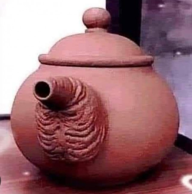 Растения и глина